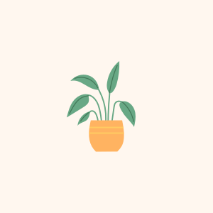 Social Media Management